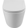 Унитаз подвесной безободковый BELBAGNO FLAY-TOR BB053CH-TOR-FC/BB870SC